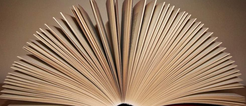 Contrato de Edición de Obra Literaria Blog de Luis Echagaray